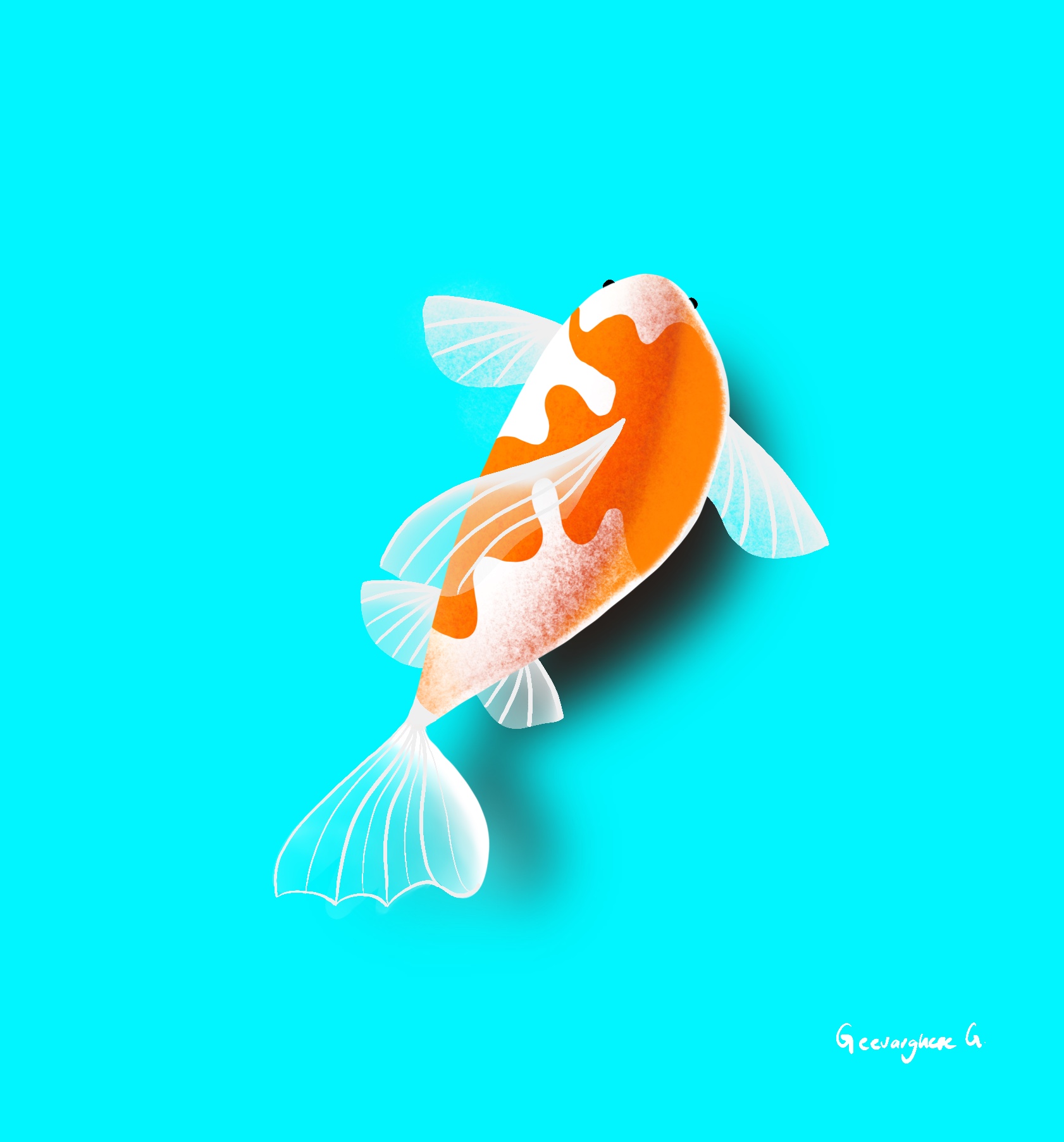 Illustration of a koi fish on cyan background